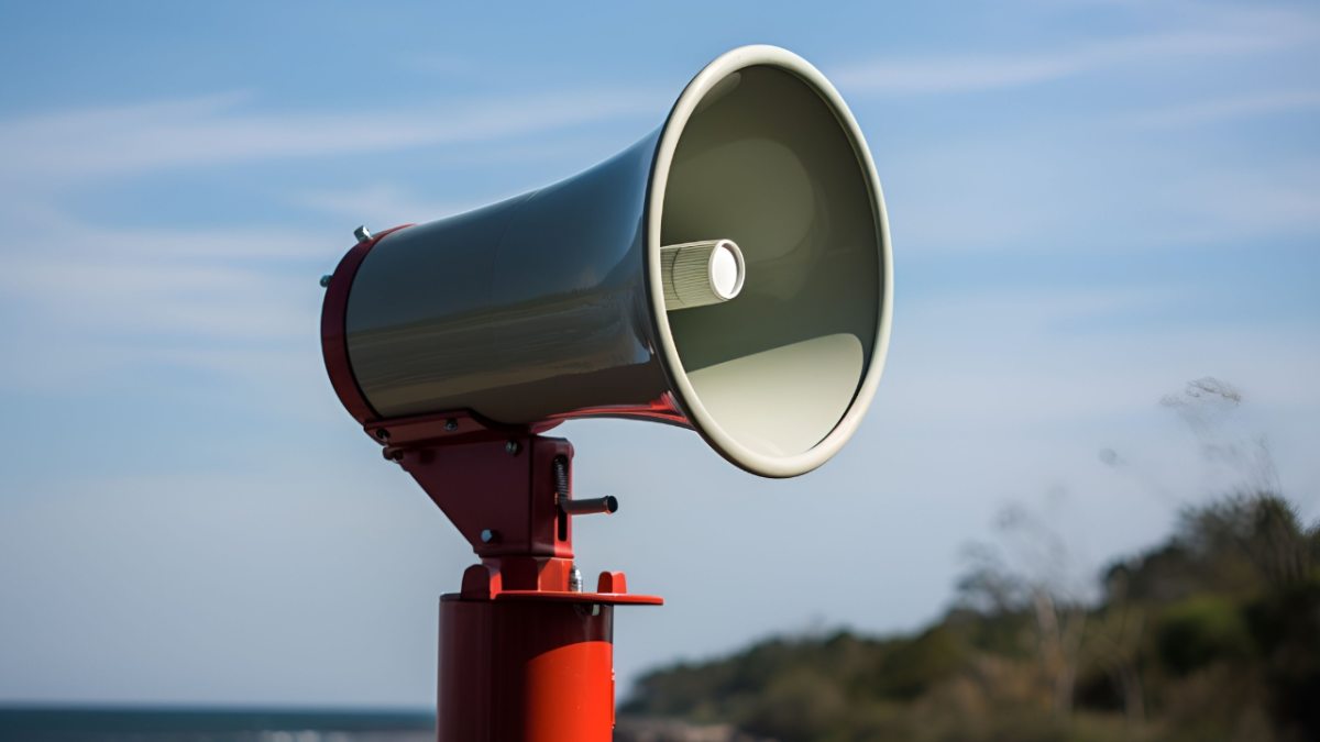 2025网站整理公示